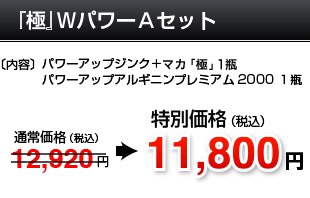 極ＷパワーＡセット
