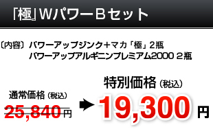 極ＷパワーＢセット