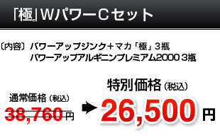 新ＷパワーＣセット
