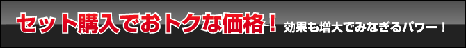 セット購入でおトクな価格!効果も増大でみなぎるパワー！