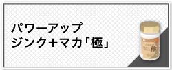 パワーアップジンク＋マカ極